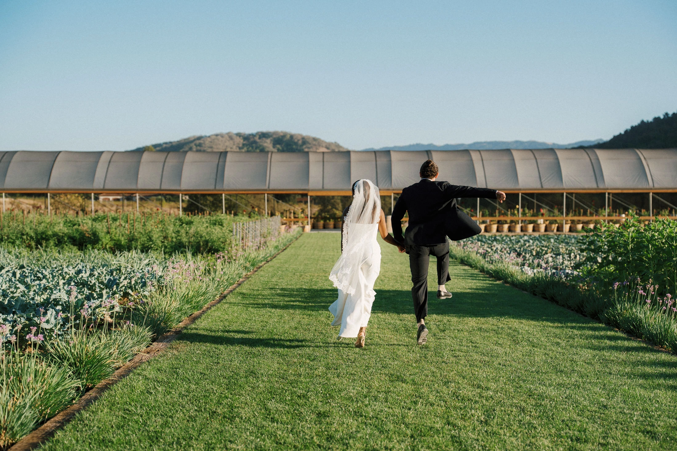 Mekaleya Tilahun and Raumin Neuville on the grounds of MOHI Ranch in Morgan Hill, California, following their wedding ceremony on October 10, 2026.